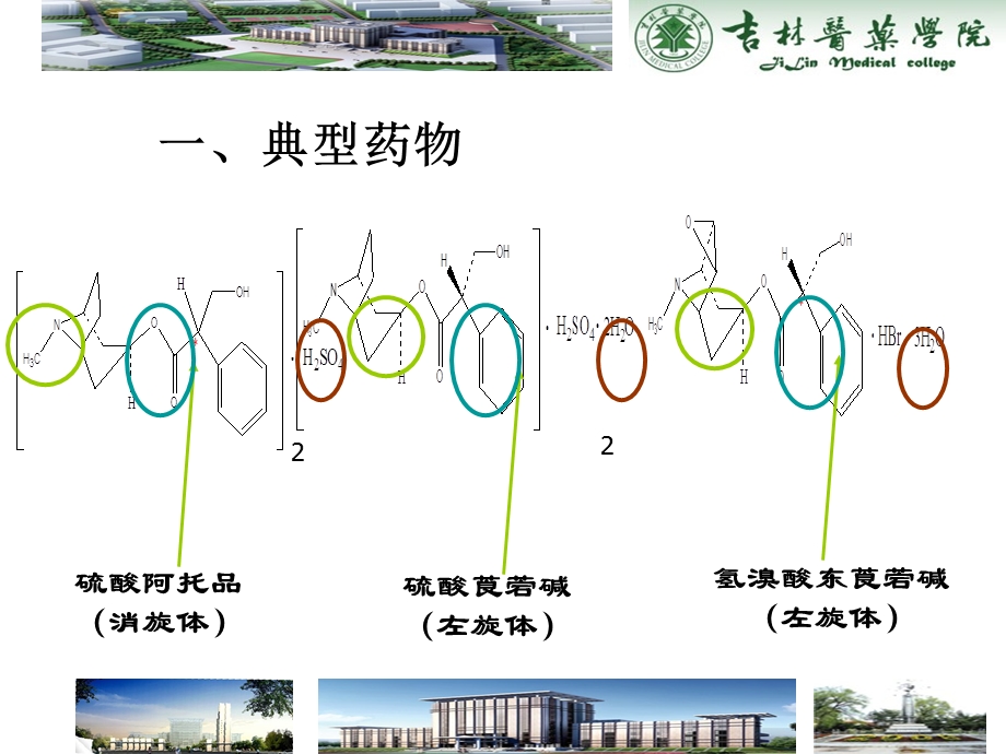 第十三章莨菪烷类抗胆碱药物的分析.ppt_第3页