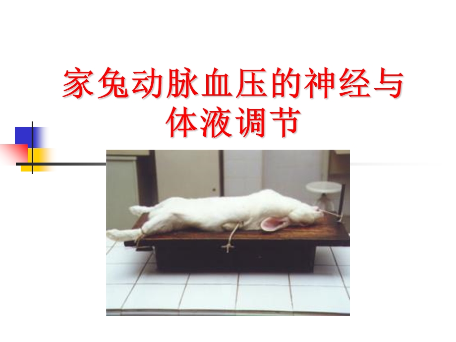 家兔动脉血压的神经与体液调节.ppt_第1页