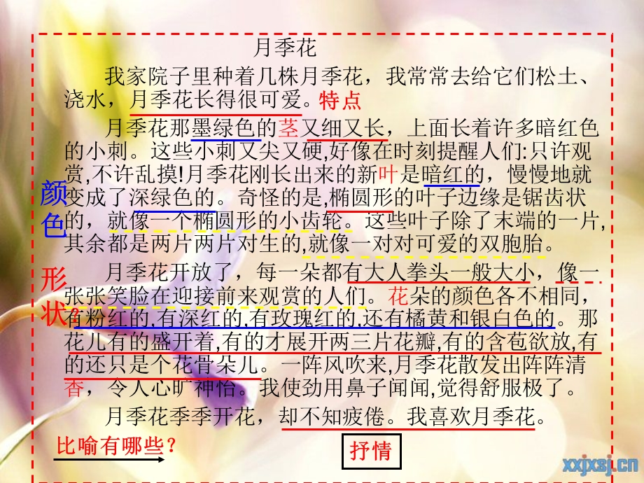 学写一种植物水仙花.ppt_第3页