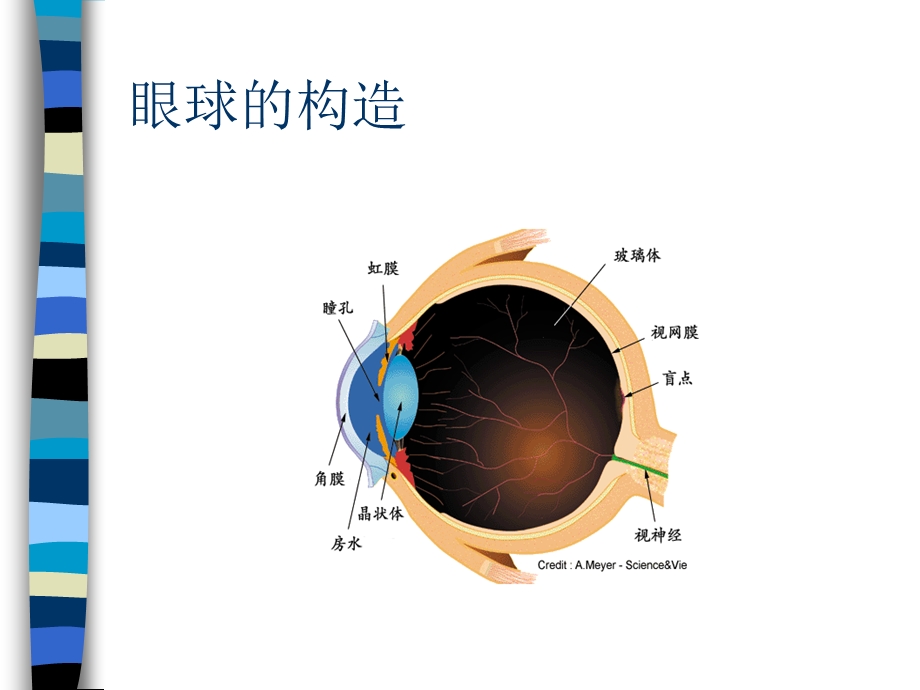 医学ppt-儿童眼保健知识课件.ppt_第2页