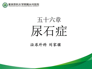 尿石症13.ppt