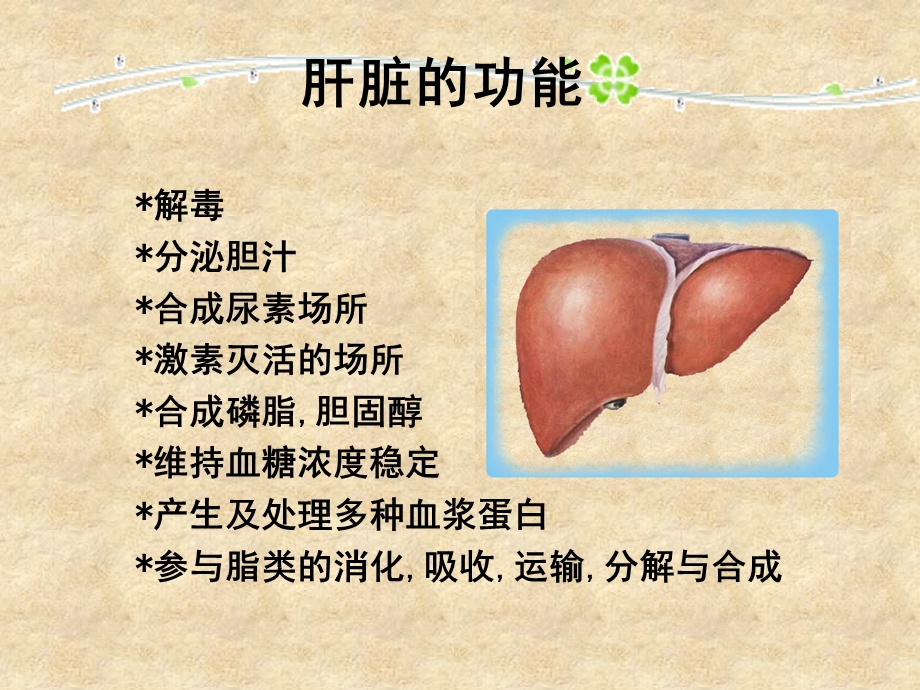 医学PPT模板.ppt_第3页