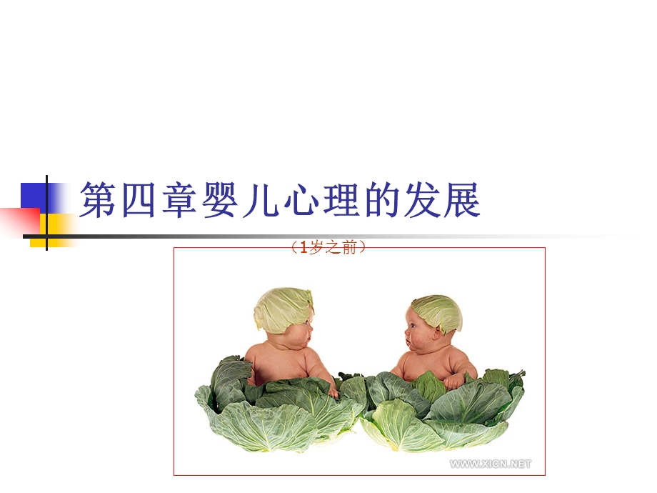 第四婴儿心理的发展.ppt_第1页