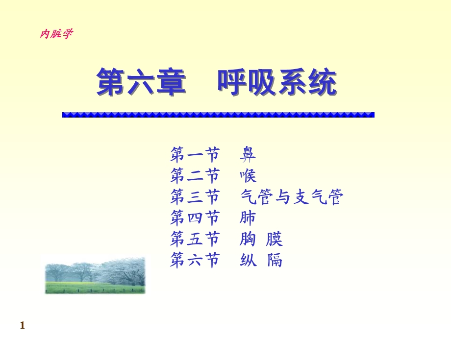 系统解剖学呼吸系统.ppt_第1页