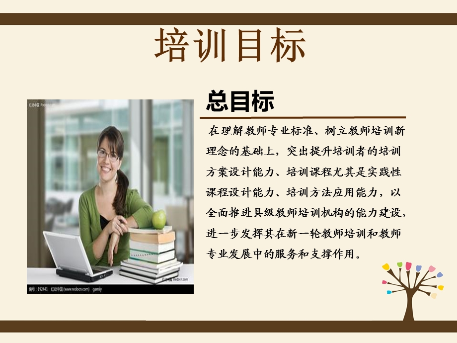 县级教师培机构培训者远程培训训项目实施方案.ppt_第3页