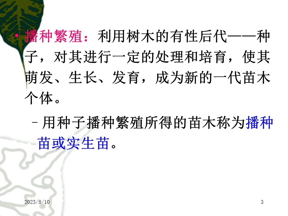 园林植物播种育苗精要.ppt_第3页