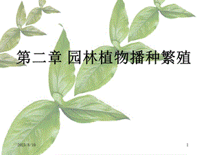 园林植物播种育苗精要.ppt