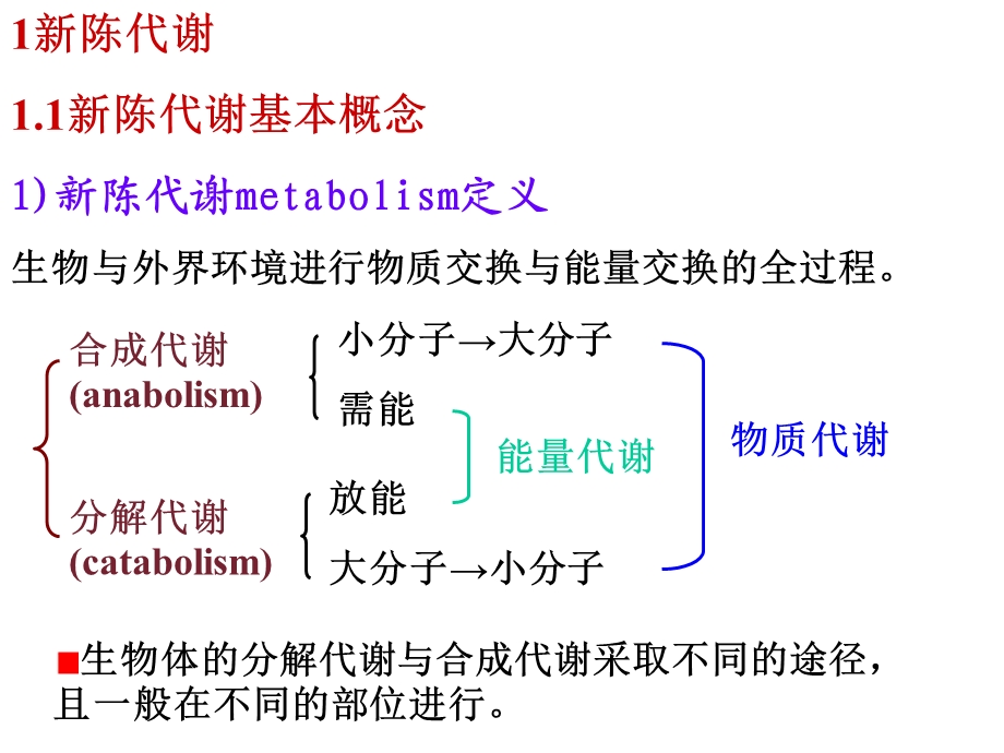 代谢总论与生物能学.ppt_第3页