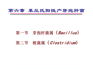 第六章革兰氏阳性产芽孢杆菌.ppt