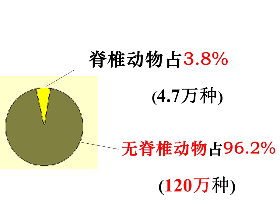 常见的动物脊椎动物.ppt_第3页