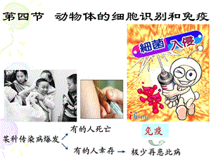 动物体的细胞识别和免疫.ppt