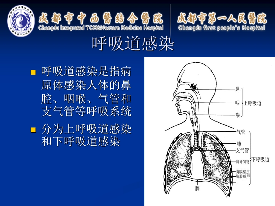 呼吸道九联检病原体检测及其临床意义.ppt_第2页