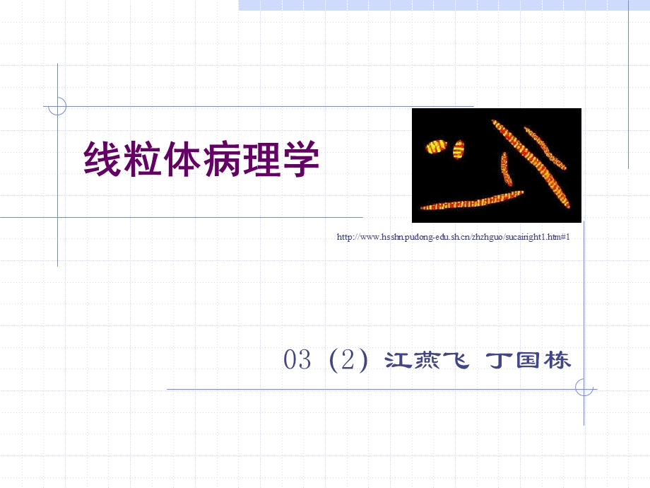 线粒体病理学.ppt_第1页