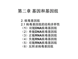 分子遗传学基因组及基因组学.ppt