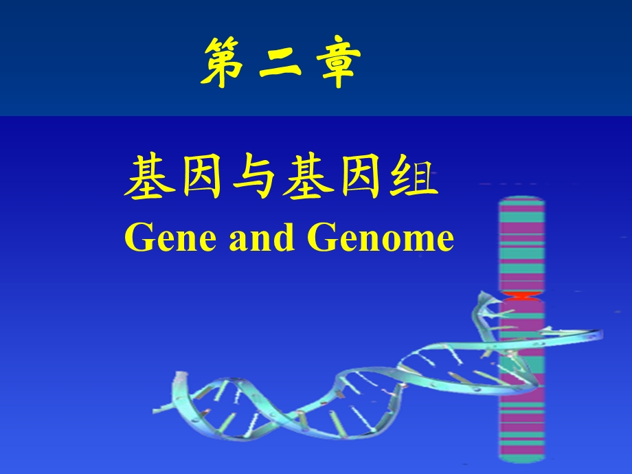 基因和基因组生物化学.ppt_第1页