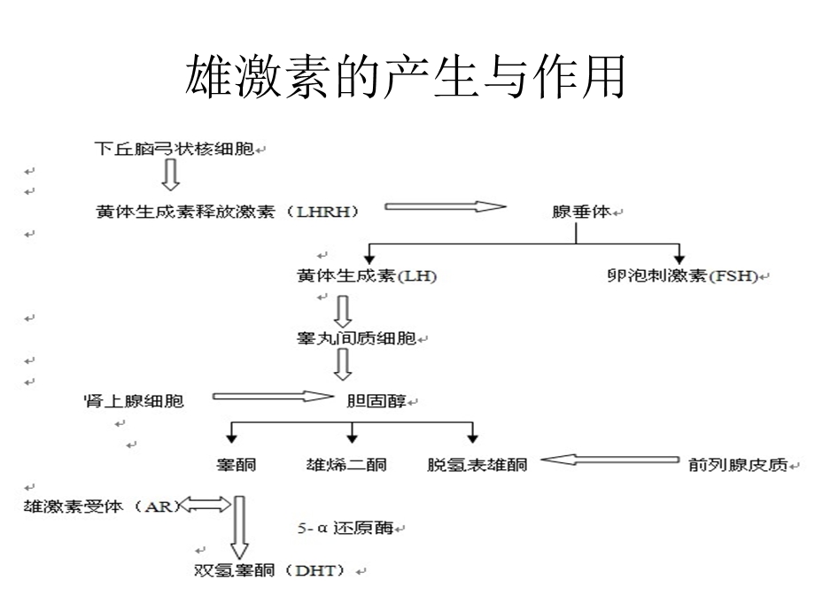 前列腺癌的内分泌.ppt_第3页