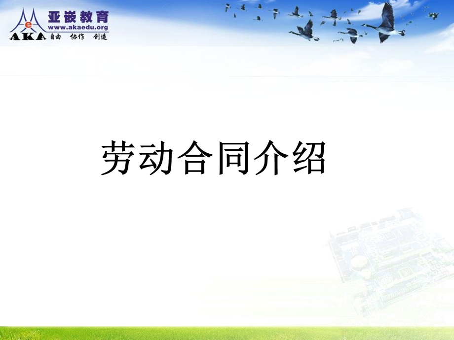 就业指导课-保险与劳动合同讲解.ppt_第1页