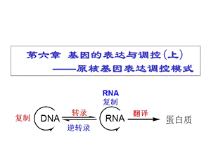 原核基因表达调控-研.ppt