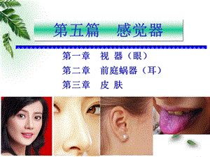 10解剖组胚学感觉器皮肤临床专业ppt课件.ppt