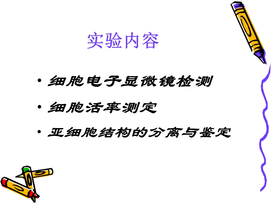 细胞实验二细胞损伤与保护2.ppt_第2页