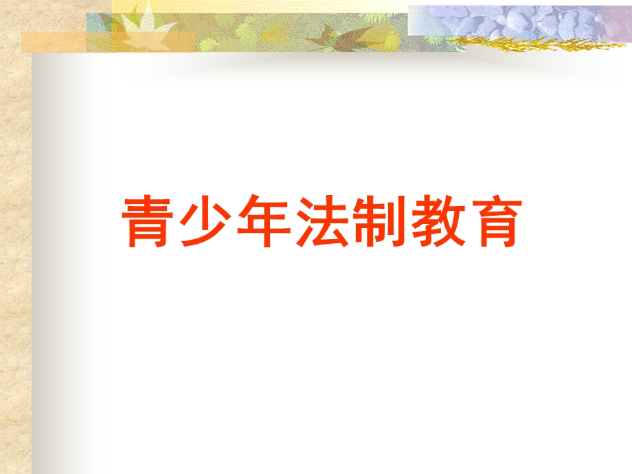 小学生法制教育班会课.ppt_第2页