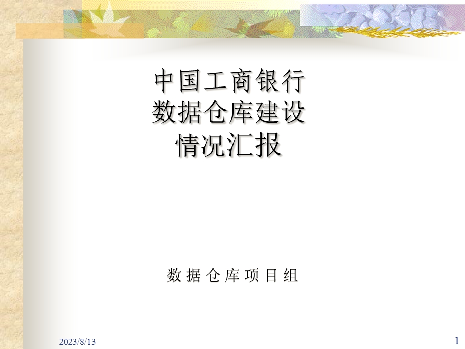 工商银行数据仓库设计方案.ppt_第1页