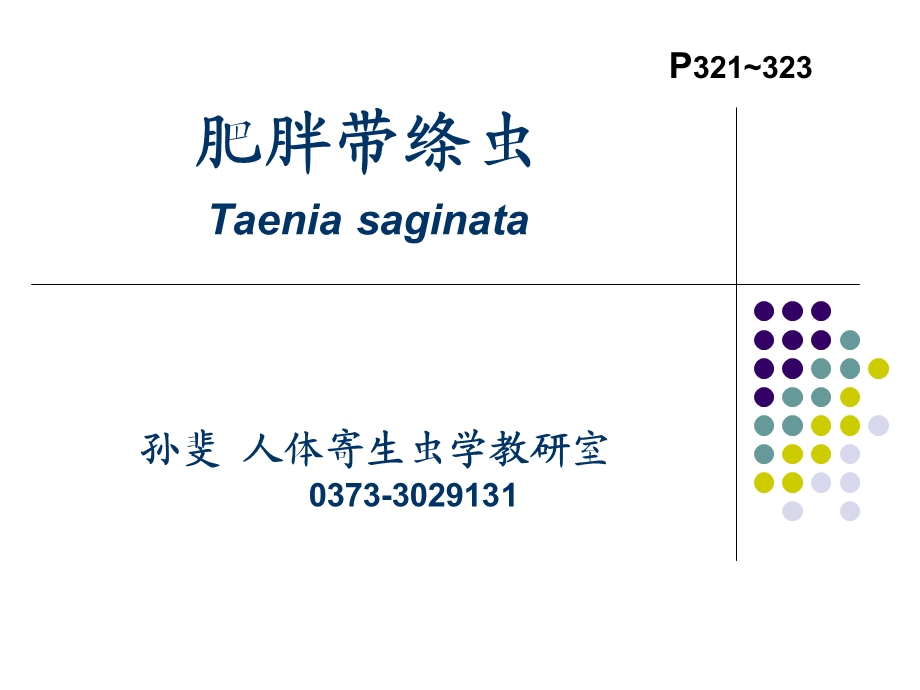 牛带绦虫(肥胖带绦虫)1 .ppt_第1页