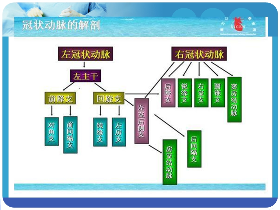 冠状动脉搭桥的术后护理ppt课件.ppt_第3页