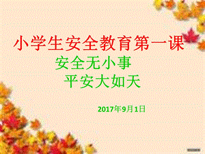 小学生安全教育第一.ppt