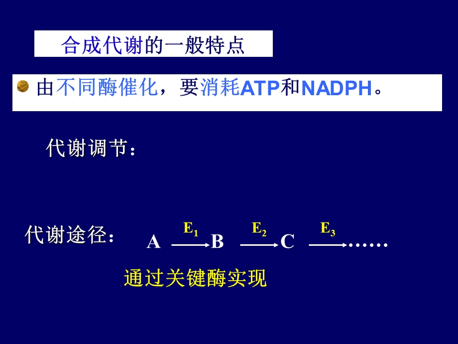 第四章糖代谢ppt课件.ppt_第3页