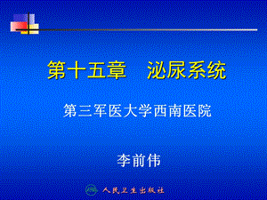 第十五章泌尿系统ppt课件.ppt