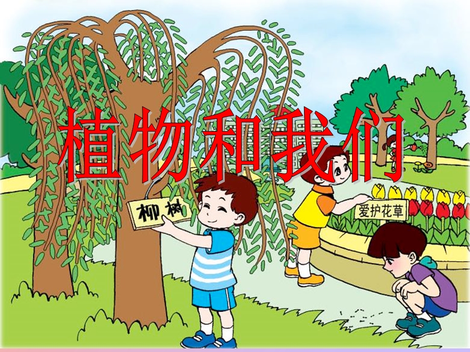 小学三年科学下植物和我们.ppt_第1页