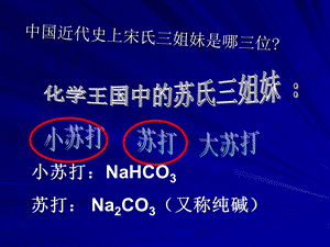 小苏打NaHCO3苏打Na2CO3又称纯碱.ppt