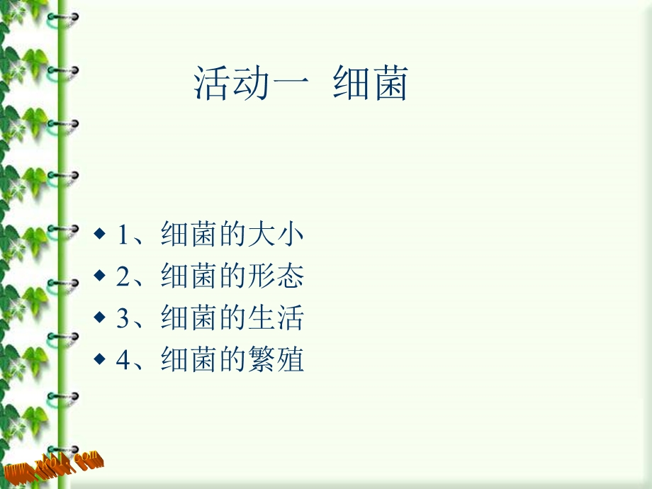 小学科学细菌和病毒.ppt_第2页