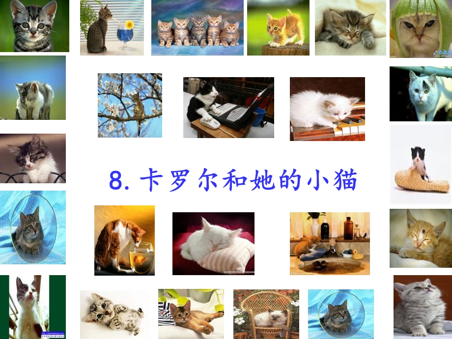 小学二年语文下册《卡罗尔和她的小猫》.ppt_第2页