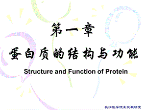 第章蛋白质的结构与功能ppt课件.ppt