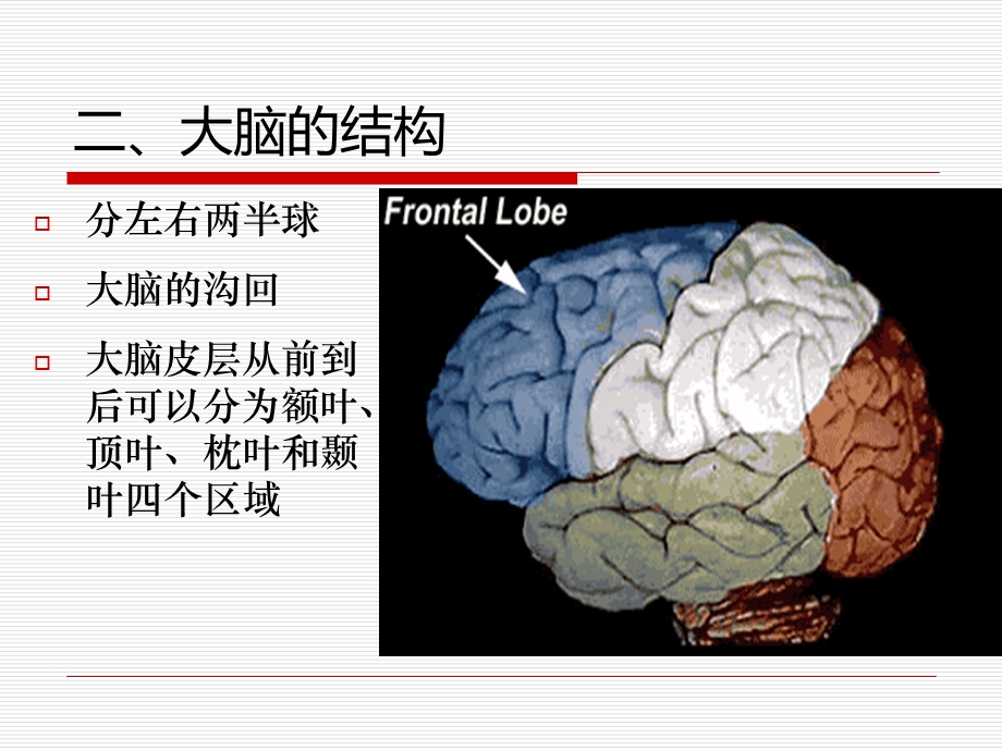 现代心理学第二章.ppt_第3页