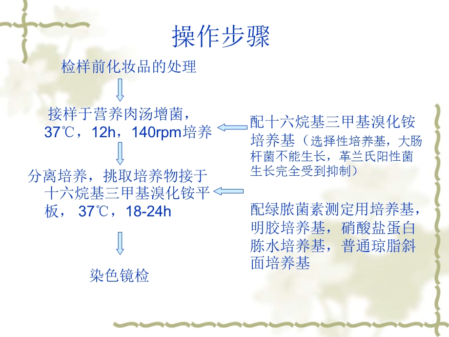 绿脓杆菌课件.ppt_第3页