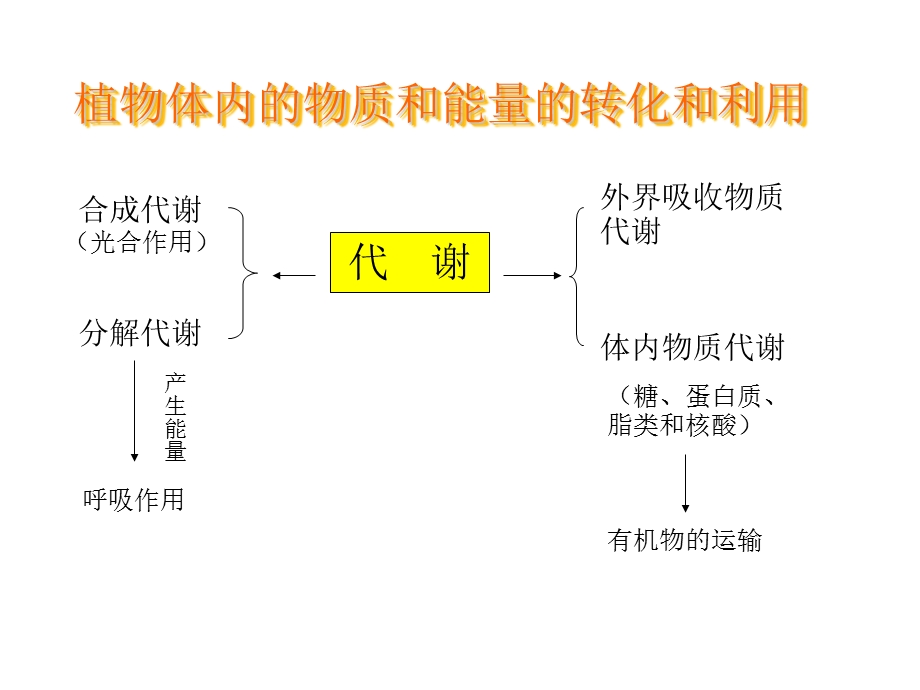 第四部分呼吸作用教学课件.ppt_第2页