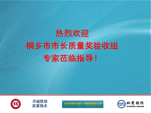 卓越绩效质量奖现场审核公司篇双箭.ppt