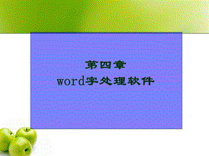 字处理软件Word-本科.ppt