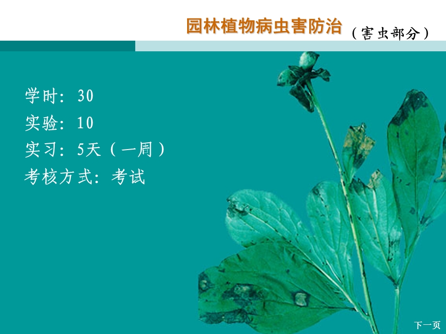 园林植物病虫害防治课件1第六章.ppt_第2页