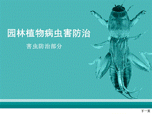 园林植物病虫害防治课件1第六章.ppt