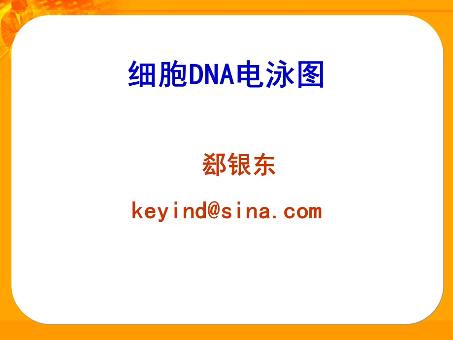 细胞DNA电泳图.ppt_第1页