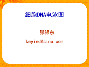 细胞DNA电泳图.ppt