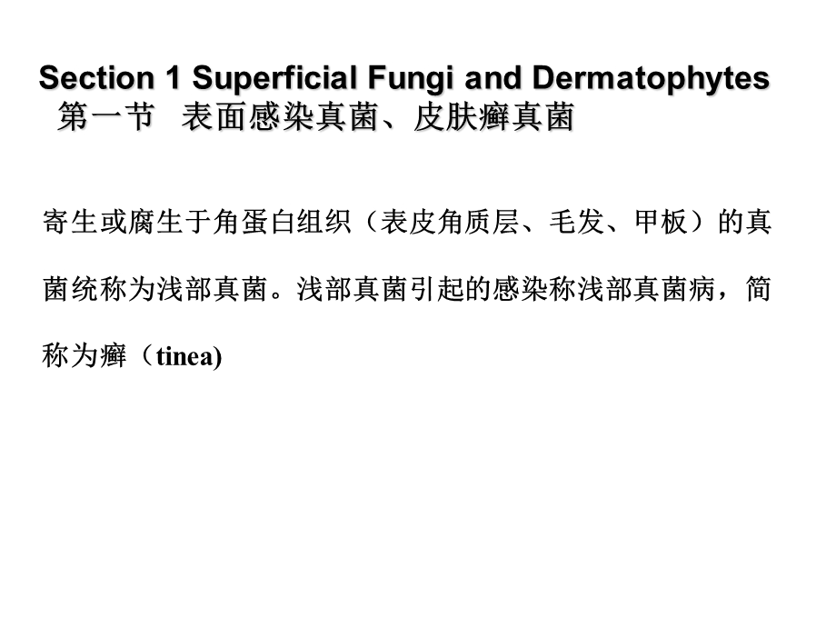 医学微生物学课件第37章主要病原性真菌.ppt_第2页