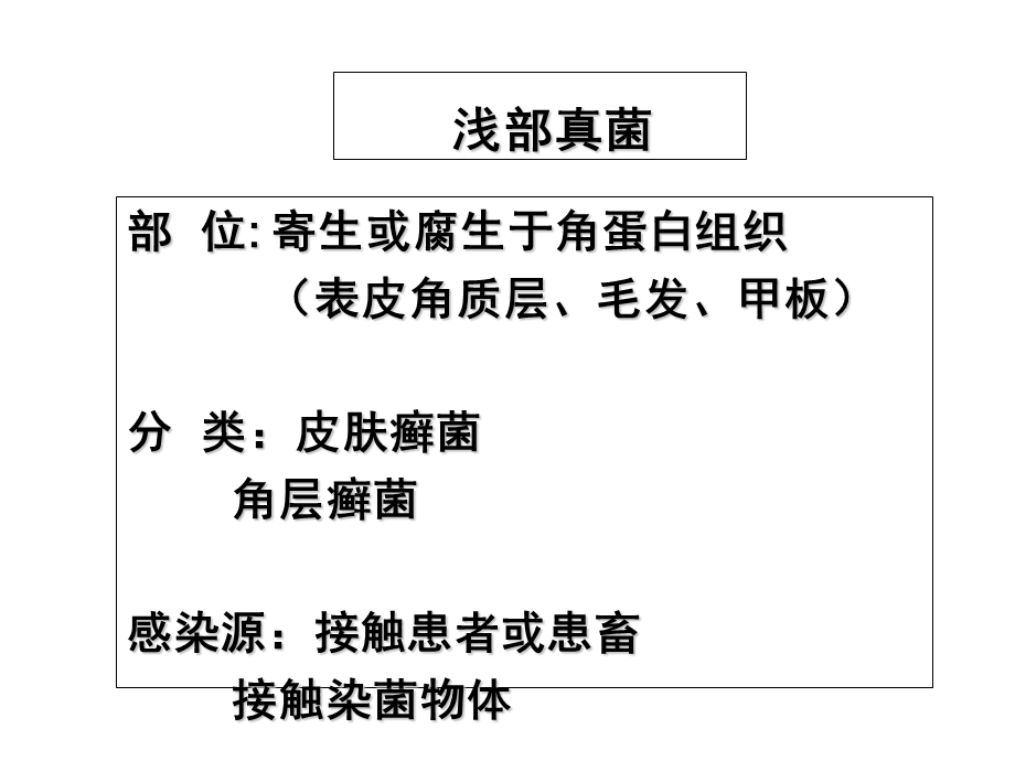 医学微生物学课件第37章主要病原性真菌.ppt_第3页