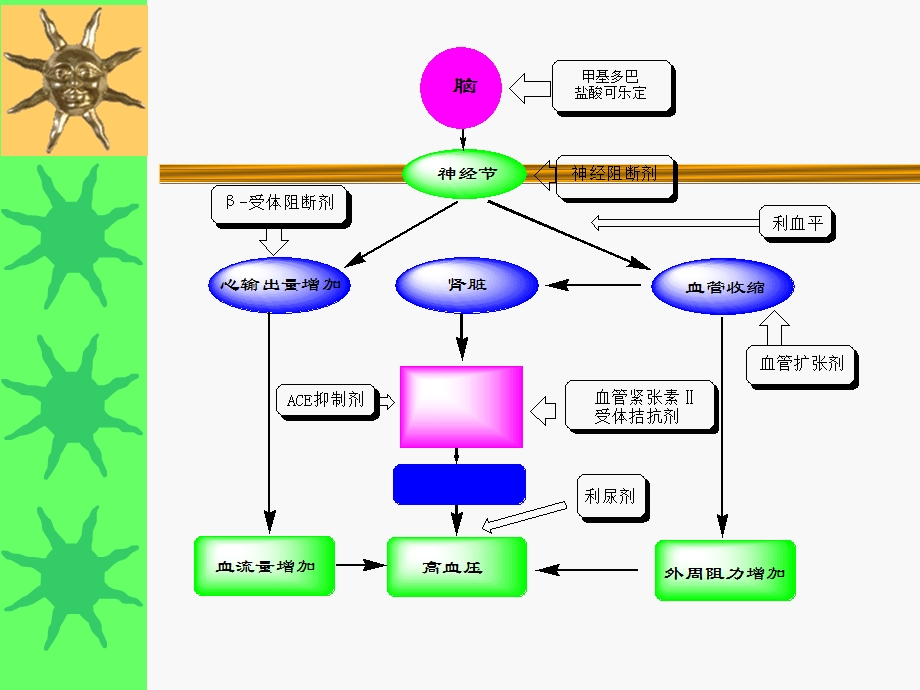 抗高血压药(尤).ppt_第2页