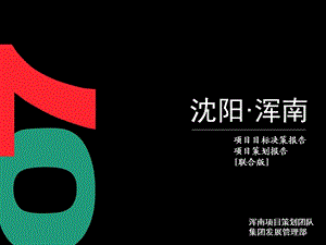 【商业地产PPT】沿海绿色集团沈阳浑南项目目标决策报告项目策划报告72PPT.ppt