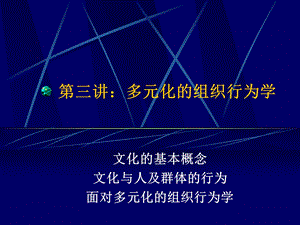 多元化的组织行为学.ppt